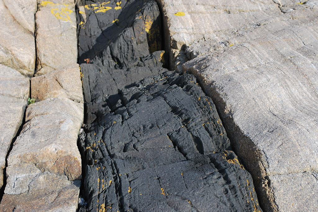 En svart diabasgång som skär igenom en klippa av gnejs.