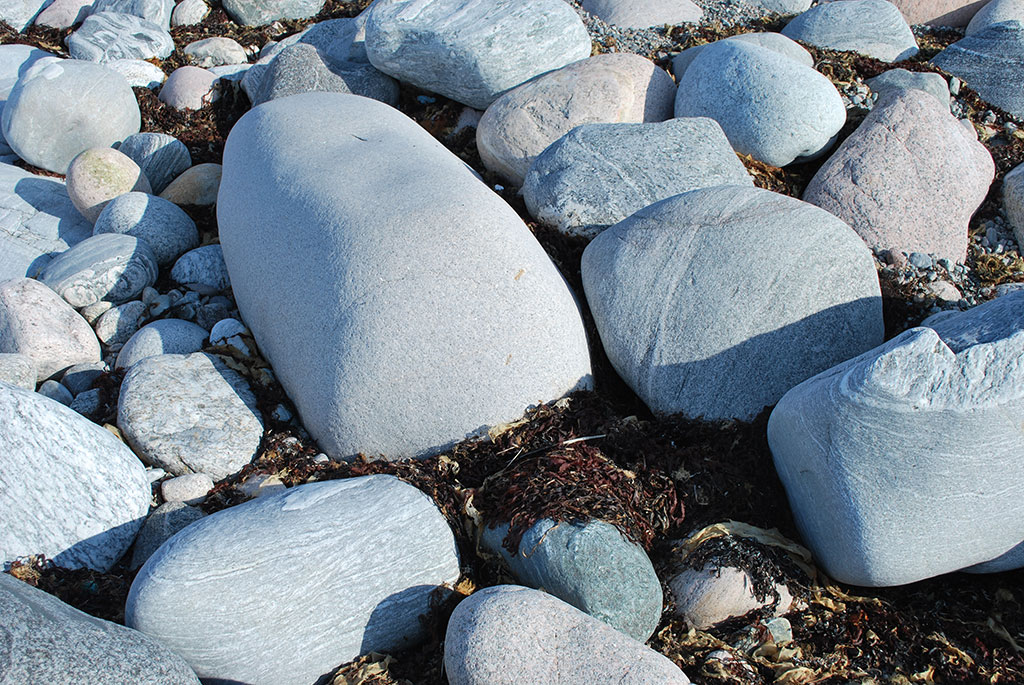 Rundade stenar av olika storlek i ett klapperstensfält.